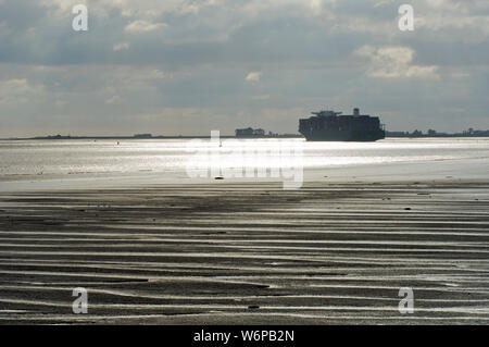 Ebbe mit sandbänken an der Wester Schelde sichtbar, während ein Container Schiff fährt über die Westerschelde auf dem Weg an die Nordsee im Netherl Stockfoto