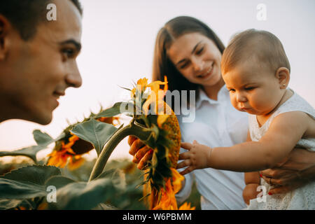 Baby ist Laufen mit Eltern und berührt die Sonnenblume Blütenstand. Stockfoto