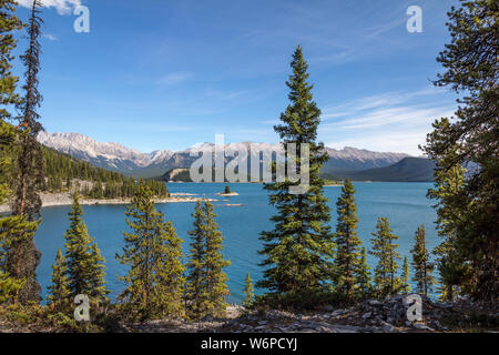 Blick nach Westen über Upper Kananaskis Lake aus dem Trail, dass circumnavigates das türkisfarbene Wasser. Peter Lougheed Provincial Park, Alberta, Kanada Stockfoto