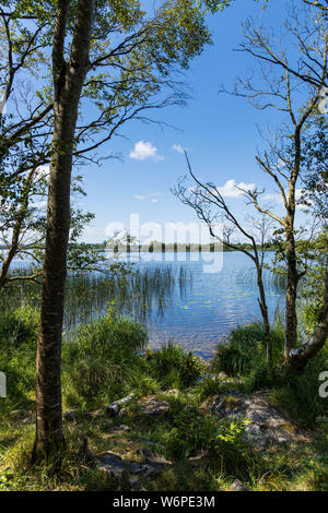 Blick über Lough Derg von Portumna Forest Park in der Grafschaft Galway, Irland Stockfoto