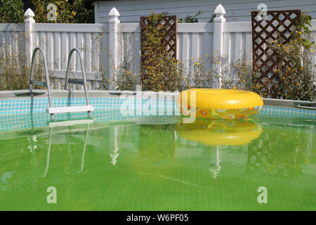 Ein vernachlässigter ungenutzter Pool, der gewartet werden muss. Ein einsames Innenrohr, das auf der Oberfläche des grünen Schwimmbades schwimmt. Stockfoto