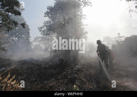 Riau, Indonesien. 2 Aug, 2019. Indonesische Feuerwehrmänner von regionalen Mitigation Disaster Management Agency von Pekanbaru versuchen peatland Brand in Pekanbaru, Riau, Indonesien, Aug 2, 2019 zu löschen. Die pekanbaru Meteorologie, Klimatologie und Geophysik Agentur erkannt 85 Hotspots, die potenziellen Vorkommen von Busch- und Waldbrände in verschiedenen Teilen der Insel Sumatra am Freitag Morgen. Quelle: Xinhua/Alamy leben Nachrichten Stockfoto