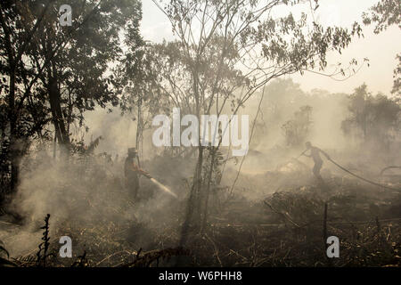 Riau, Indonesien. 2 Aug, 2019. Indonesische Feuerwehrmänner von regionalen Mitigation Disaster Management Agency von Pekanbaru versuchen peatland Brand in Pekanbaru, Riau, Indonesien, Aug 2, 2019 zu löschen. Die pekanbaru Meteorologie, Klimatologie und Geophysik Agentur erkannt 85 Hotspots, die potenziellen Vorkommen von Busch- und Waldbrände in verschiedenen Teilen der Insel Sumatra am Freitag Morgen. Quelle: Xinhua/Alamy leben Nachrichten Stockfoto