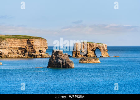 Die felsigen Klippen, die zu Lizard Point und der Rock arch See - auf der South Tyneside Küste Stapel an souter zwischen Whitburn und Marsden Stockfoto