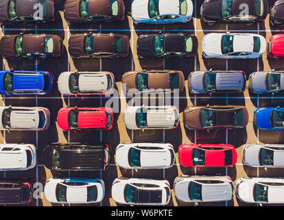 Blick von oben auf die neuen Autos aufgereiht außerhalb einer Automobilfabrik für Import Export. Stockfoto