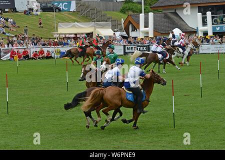 Teams aus 7 Ländern konkurrieren im internationalen montiert Spiele auf der Royal Welsh Show 2019, Builth Wells Stockfoto