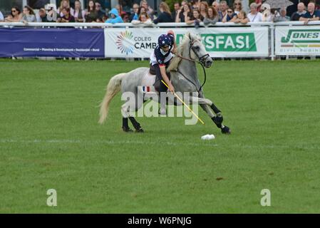 Teams aus 7 Ländern konkurrieren im internationalen montiert Spiele auf der Royal Welsh Show 2019, Builth Wells Stockfoto