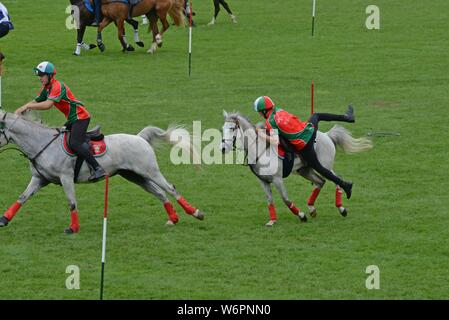 Teams aus 7 Ländern konkurrieren im internationalen montiert Spiele auf der Royal Welsh Show 2019, Builth Wells Stockfoto