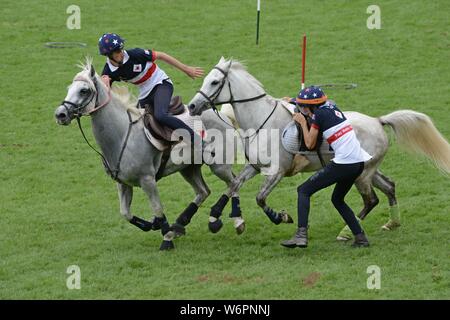 Teams aus 7 Ländern konkurrieren im internationalen montiert Spiele auf der Royal Welsh Show 2019, Builth Wells Stockfoto