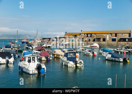 Boote in die Sicherheit der Cobb-Lyme Regis Hafen. Der Hafen für Lyme Regis ist der Cobb genannt. Vom Gehweg auf der Oberseite der Bau aus Stein gesehen. Großbritannien (110) Stockfoto