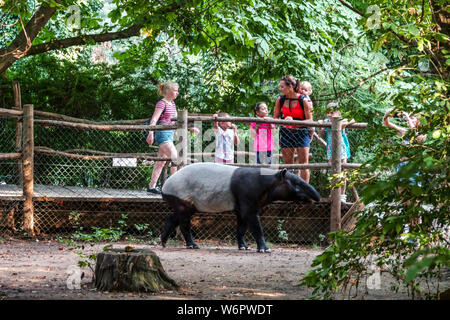 Menschen und Besucher, die einen Spaziergang im Prager Zoo machen Kinder in der Nähe des malayischen Tapir-Gehäuses Prag Tschechische Republik Stockfoto