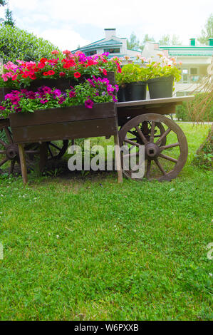 Altes holz vintage Trolley mit Blumenkübel und Kästen mit bunten Blumen und Petunien Geranien im Garten an einem sonnigen Sommertag, vertikal gedreht. Stockfoto