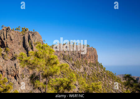 Gran Canaria, Juli, Blick Richtung steilen Klippe Morro Guanil, blauer Himmel Stockfoto