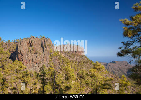 Gran Canaria, Juli, Blick Richtung steilen Klippe Morro Guanil, blauer Himmel Stockfoto