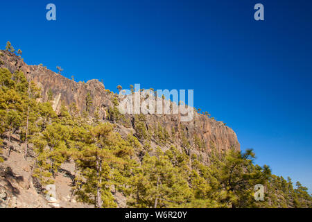 Gran Canaria, Juli, Blick Richtung steilen Klippe Morro Guanil, blauer Himmel Stockfoto