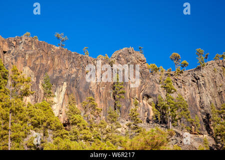 Gran Canaria, Juli, Blick Richtung steilen Klippe Morro Guanil, blauer Himmel Stockfoto