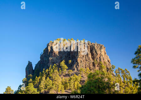 Gran Canaria, Juli, Blick Richtung steilen Klippe Morro de las Vacas Stockfoto