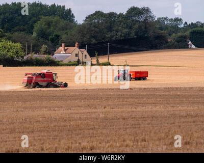 Weizen Ernte beginnt im Great Bardfield Essex UK. Diese Zeit des Jahres ist eine besorgte Zeit für Landwirte wie der Weizen muss vor dem Regen verdirbt es geerntet werden. Stockfoto