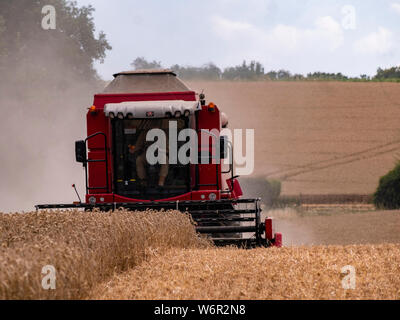 Weizen Ernte beginnt im Great Bardfield Essex UK. Diese Zeit des Jahres ist eine besorgte Zeit für Landwirte wie der Weizen muss vor dem Regen verdirbt es geerntet werden. Stockfoto
