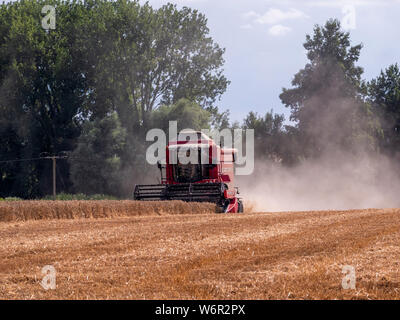 Weizen Ernte beginnt im Great Bardfield Essex UK. Diese Zeit des Jahres ist eine besorgte Zeit für Landwirte wie der Weizen muss vor dem Regen verdirbt es geerntet werden. Stockfoto
