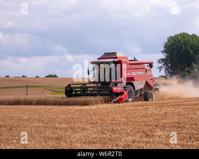 Weizen Ernte beginnt im Great Bardfield Essex UK. Diese Zeit des Jahres ist eine besorgte Zeit für Landwirte wie der Weizen muss vor dem Regen verdirbt es geerntet werden. Stockfoto