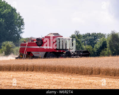Weizen Ernte beginnt im Great Bardfield Essex UK. Diese Zeit des Jahres ist eine besorgte Zeit für Landwirte wie der Weizen muss vor dem Regen verdirbt es geerntet werden. Stockfoto