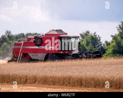 Weizen Ernte beginnt im Great Bardfield Essex UK. Diese Zeit des Jahres ist eine besorgte Zeit für Landwirte wie der Weizen muss vor dem Regen verdirbt es geerntet werden. Stockfoto