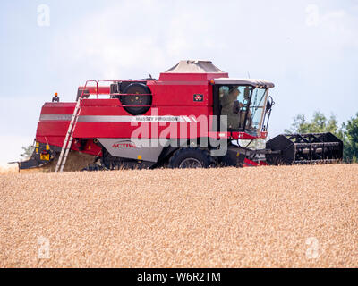 Weizen Ernte beginnt im Great Bardfield Essex UK. Diese Zeit des Jahres ist eine besorgte Zeit für Landwirte wie der Weizen muss vor dem Regen verdirbt es geerntet werden. Stockfoto