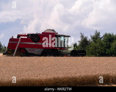 Weizen Ernte beginnt im Great Bardfield Essex UK. Diese Zeit des Jahres ist eine besorgte Zeit für Landwirte wie der Weizen muss vor dem Regen verdirbt es geerntet werden. Stockfoto