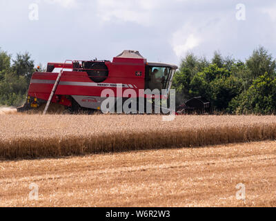 Weizen Ernte beginnt im Great Bardfield Essex UK. Diese Zeit des Jahres ist eine besorgte Zeit für Landwirte wie der Weizen muss vor dem Regen verdirbt es geerntet werden. Stockfoto