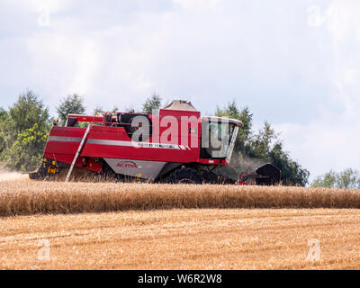 Weizen Ernte beginnt im Great Bardfield Essex UK. Diese Zeit des Jahres ist eine besorgte Zeit für Landwirte wie der Weizen muss vor dem Regen verdirbt es geerntet werden. Stockfoto