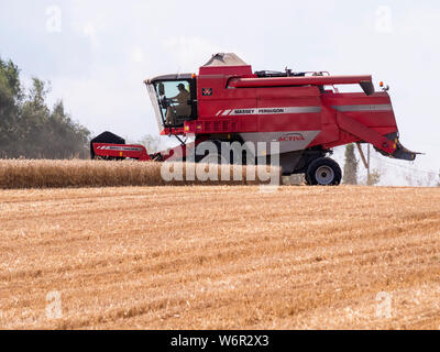 Weizen Ernte beginnt im Great Bardfield Essex UK. Diese Zeit des Jahres ist eine besorgte Zeit für Landwirte wie der Weizen muss vor dem Regen verdirbt es geerntet werden. Stockfoto