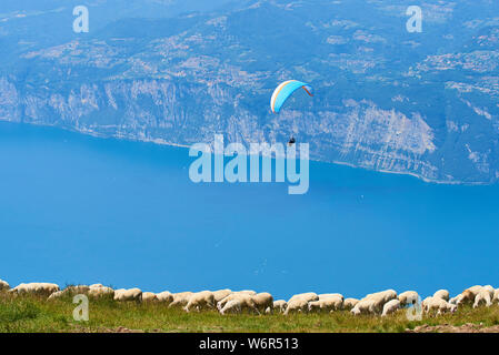 Paragliding über den Gardasee vom Monte Baldo Berg. Panoramablick auf Lago di Garda, Venetien Region Italien Stockfoto