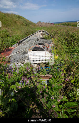 Reste eines hölzernen Ruderboot mit Netzen, Seilen und Angeln in den Rumpf bewachsen mit Gras und Pflanzen bekämpfen Neben Keiss Hafen, Caithness, Großbritannien Stockfoto