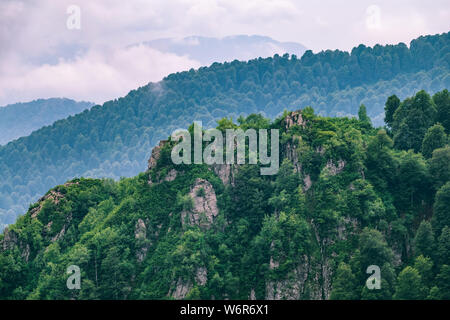 Hohe Berge mit bewaldeten Hängen und Gipfeln in den Wolken versteckt. Starker Nebel in den Bergen an einem bewölkten Tag. Stockfoto