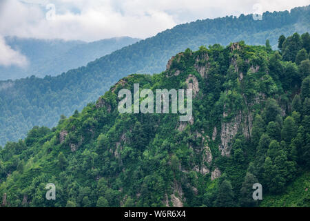 Hohe Berge mit bewaldeten Hängen und Gipfeln in den Wolken versteckt. Starker Nebel in den Bergen an einem bewölkten Tag. Stockfoto