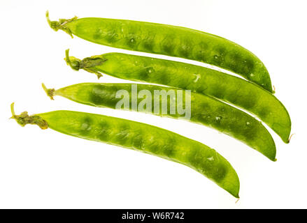 Grüne Erbsen (chícharos, petipuas), zart und sehr frisch (mit Tropfen Wasser). Auf weissem Hintergrund. Stockfoto