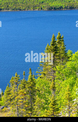 Nordosten Arm Anzeige von Mill Cove Lookout Trail Gipfel, Terra Nova Nationalpark, Neufundland und Labrador, Kanada Stockfoto