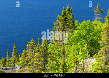 Nordosten Arm Anzeige von Mill Cove Lookout Trail Gipfel, Terra Nova Nationalpark, Neufundland und Labrador, Kanada Stockfoto