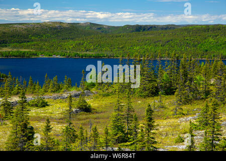 Nordosten Arm Anzeige von Mill Cove Lookout Trail Gipfel, Terra Nova Nationalpark, Neufundland und Labrador, Kanada Stockfoto