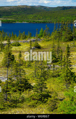 Nordosten Arm Anzeige von Mill Cove Lookout Trail Gipfel, Terra Nova Nationalpark, Neufundland und Labrador, Kanada Stockfoto