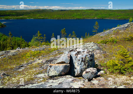 Nordosten Arm Anzeige von Mill Cove Lookout Trail Gipfel, Terra Nova Nationalpark, Neufundland und Labrador, Kanada Stockfoto