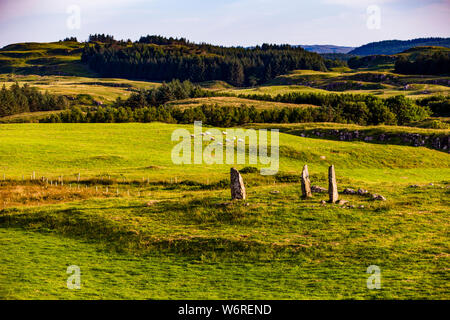 Der alte Steinkreis in der Nähe von Glengorm Castle in Tobermory, Isle of Mull, Schottland. Ein Steinkreis in der Nähe von Glengorm Castle auf der Isle of Mull in Schottland. Nicht mehr als ein paar Steine stehen aufrecht auf einer Wiese. Aber ihre Anordnung deutet darauf hin, dass dies ein besonderer Ort ist Stockfoto