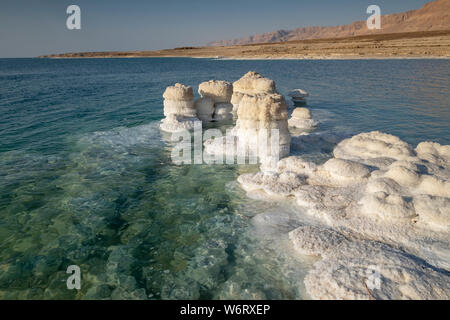 Kristallines Salz Felsen entlang der Küste des Toten Meeres, Israel. Stockfoto