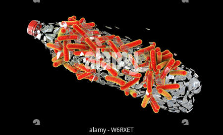 Computer Abbildung: Ideonella sakaiensis Bakterien erniedrigende eine Plastikflasche. I. sakaiensis wurde im Jahr 2016 in Sedimenten in der Nähe von eine Plastikflasche Recyclinganlage in Japan entdeckt. Es ist in der Lage, die Kunststoff Polyethylenterephthalat (PET) als primäre Energiequelle. Dazu zwei Enzyme verwendet, PET-Hydrolase (PETase) und MHET hydrolase (MHETase), PET zu konvertieren Säure (TPA) zu Terephthalsäure und Ethylenglykol. Stockfoto