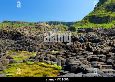 COUNTY Antrim, Nordirland - 28. MAI 2018: Touristen erkunden Giants Causeway, einer Gegend von Sechseckigen Basaltsteine, die von alten vulkanischen fis erstellt Stockfoto