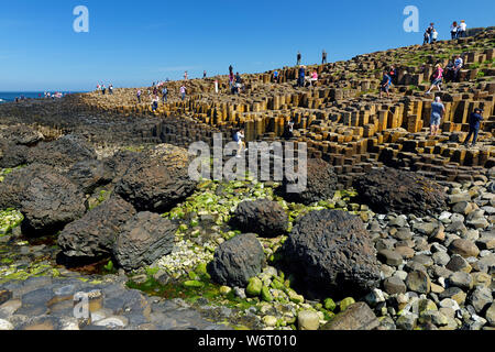 COUNTY Antrim, Nordirland - 28. MAI 2018: Touristen erkunden Giants Causeway, einer Gegend von Sechseckigen Basaltsteine, die von alten vulkanischen fis erstellt Stockfoto