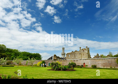 Die Türme und Türmchen von ducketts Grove, eine Burgruine aus dem 19. Jahrhundert große Haus und ehemaliger Immobilien im County Carlow, Irland. Stockfoto