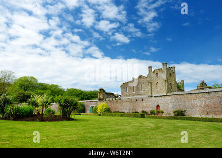 Die Türme und Türmchen von ducketts Grove, eine Burgruine aus dem 19. Jahrhundert große Haus und ehemaliger Immobilien im County Carlow, Irland. Stockfoto