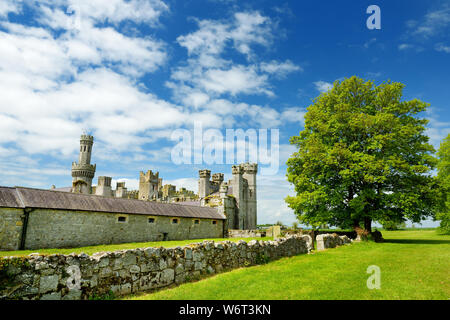 Die Türme und Türmchen von ducketts Grove, eine Burgruine aus dem 19. Jahrhundert große Haus und ehemaliger Immobilien im County Carlow, Irland. Stockfoto